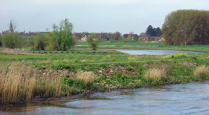 Foto Schelde gebied